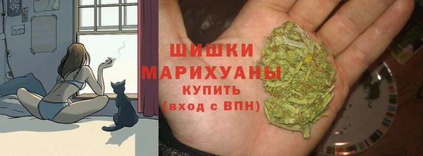 ПСИЛОЦИБИНОВЫЕ ГРИБЫ Абдулино
