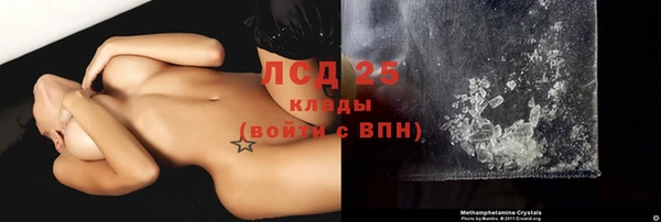 ГАЛЛЮЦИНОГЕННЫЕ ГРИБЫ Новодвинск