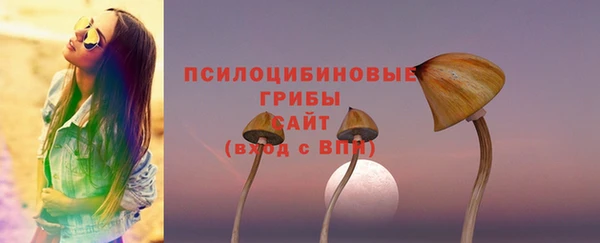 марки lsd Абаза