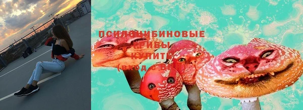 ПСИЛОЦИБИНОВЫЕ ГРИБЫ Абдулино