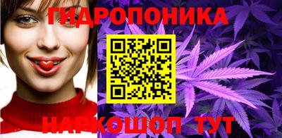 крисы Заводоуковск