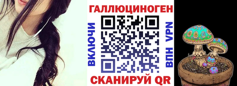 купить  цена  Торжок  Псилоцибиновые грибы Cubensis 