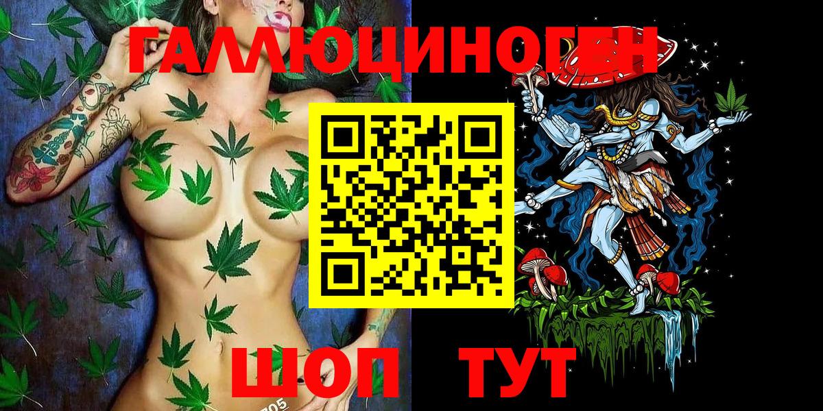 Псилоцибиновые грибы MAGIC MUSHROOMS Торжок